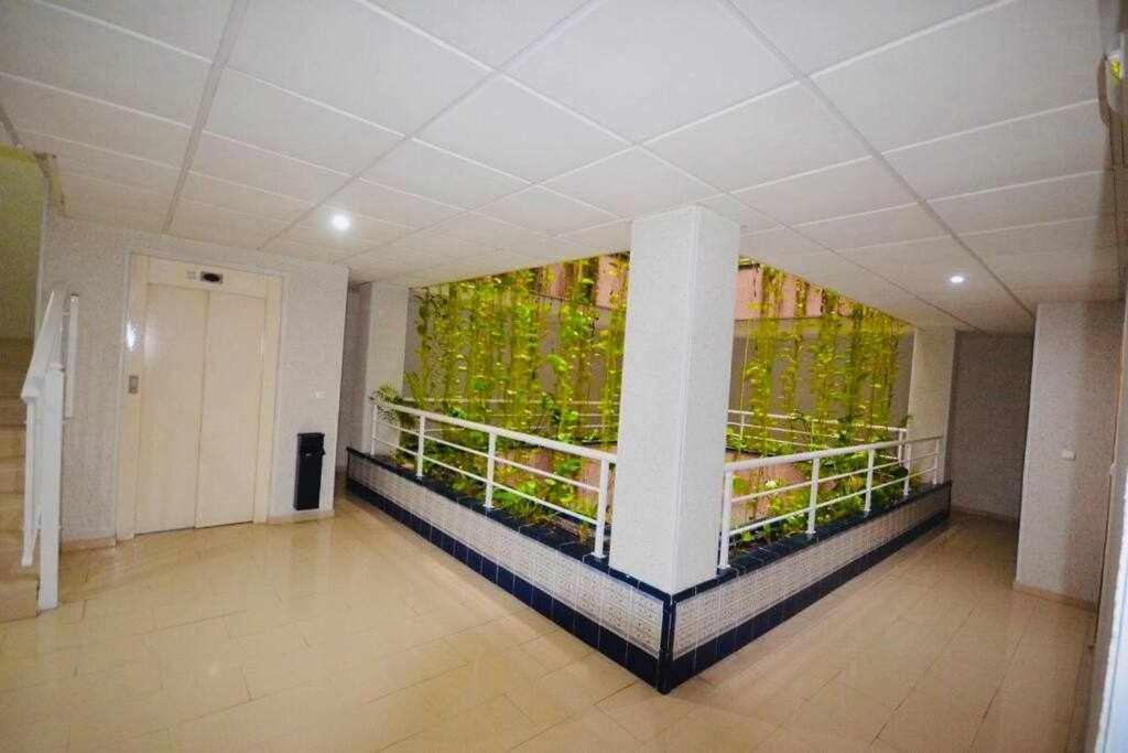 Apartamento Pink Sweet Home تورّيفيِخا المظهر الخارجي الصورة
